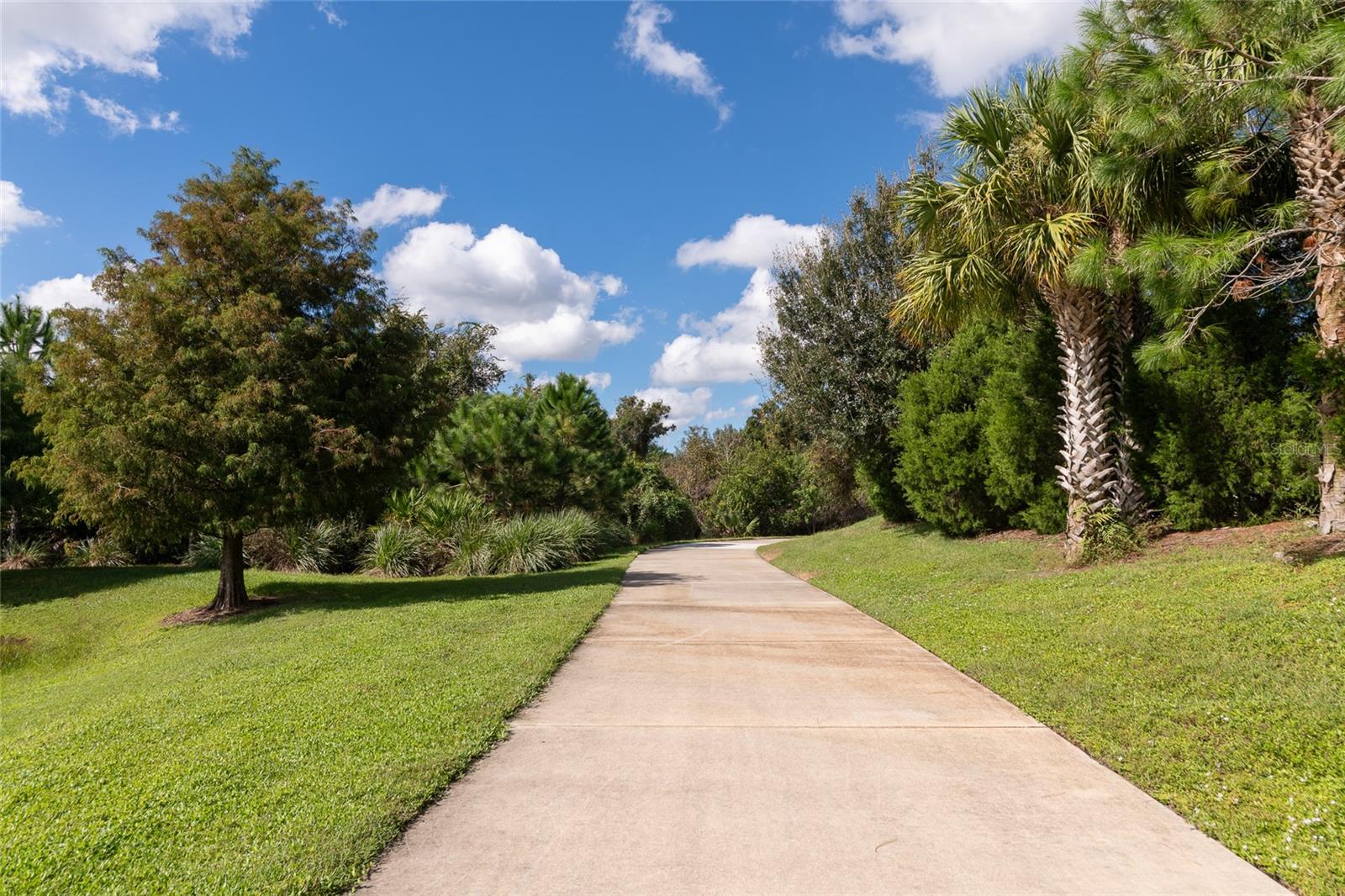 12121 TRAILHEAD DR — photo 32