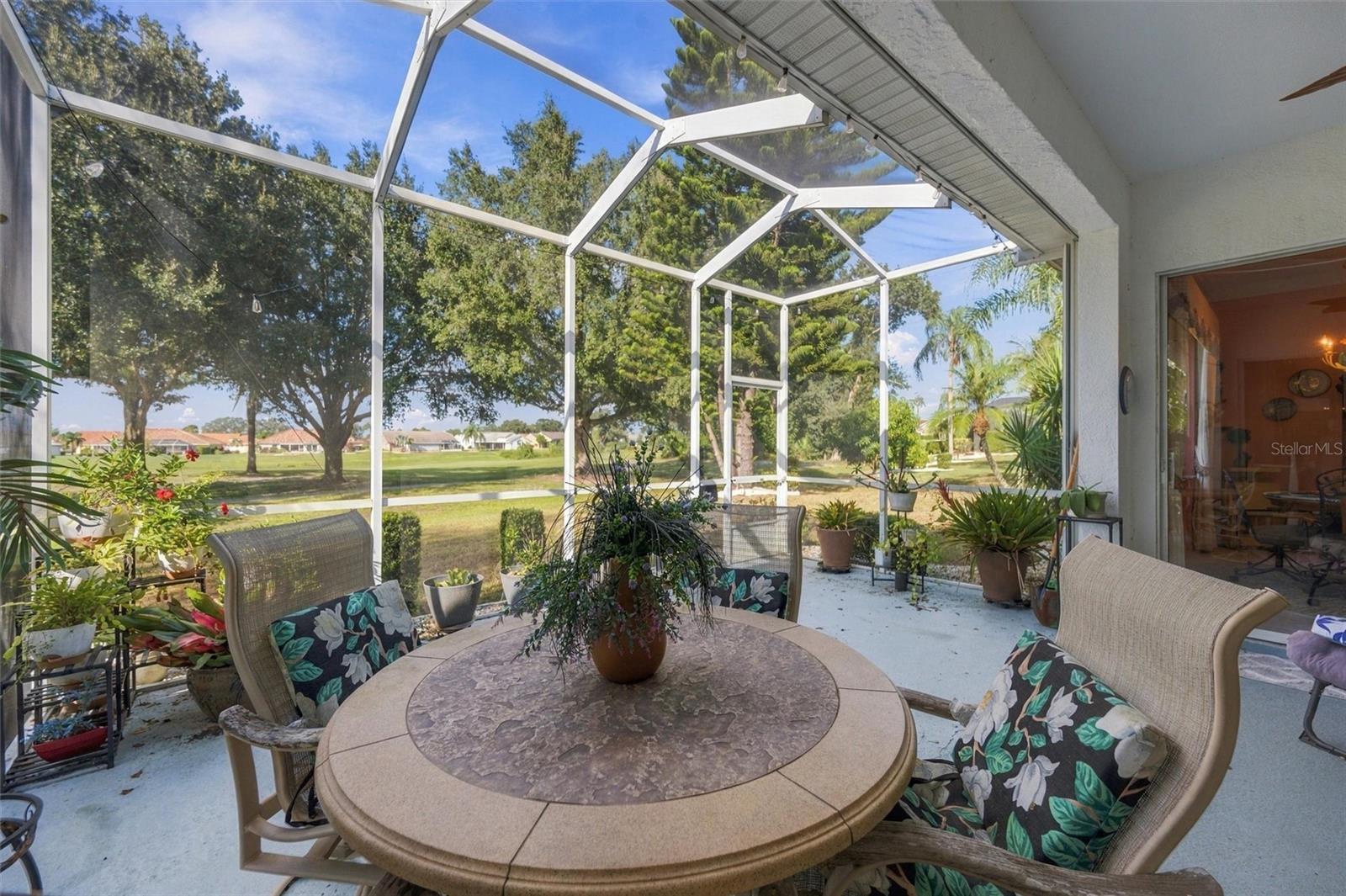 2223 PLATINUM DR — photo 41