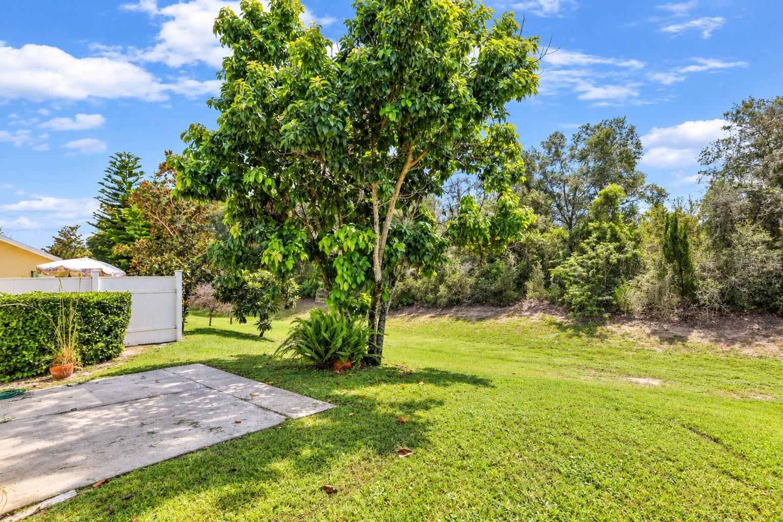 8524 CORINTHIAN WAY — photo 14