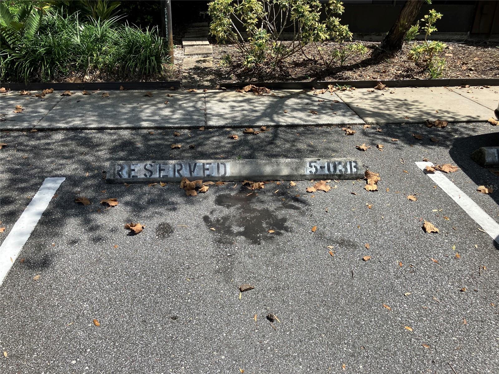 11703 RAINTREE VILLAGE BLVD #B — photo 50