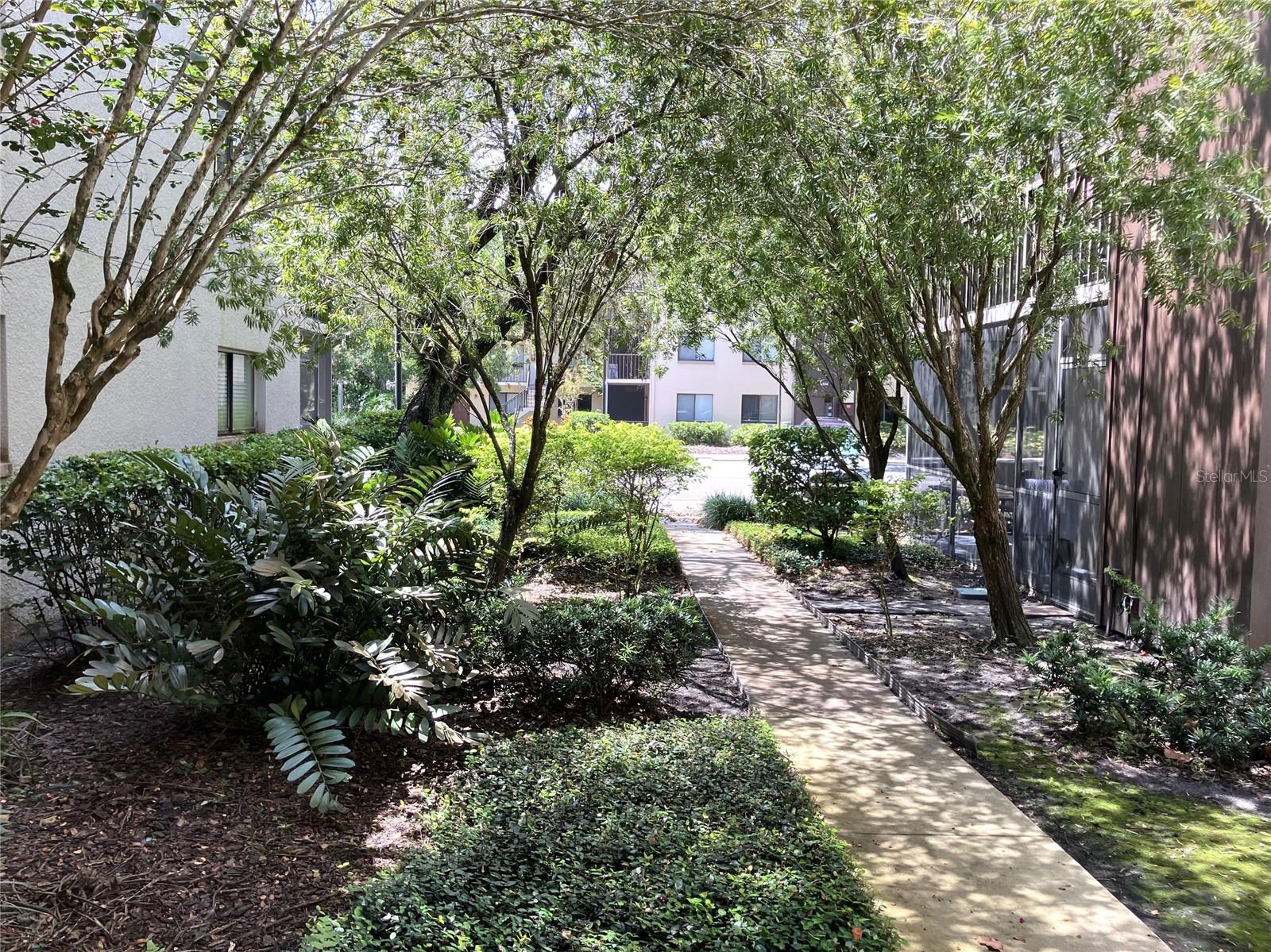 11703 RAINTREE VILLAGE BLVD #B — photo 4