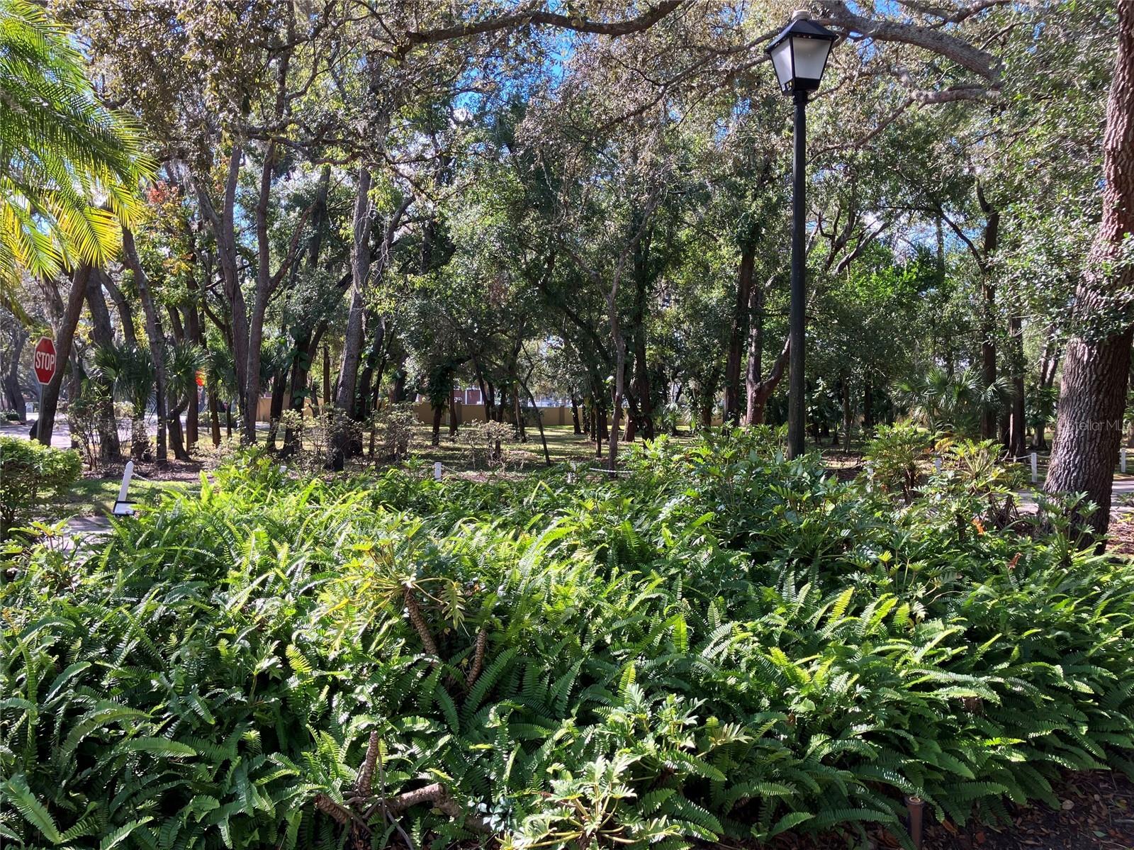 11703 RAINTREE VILLAGE BLVD #B — photo 56