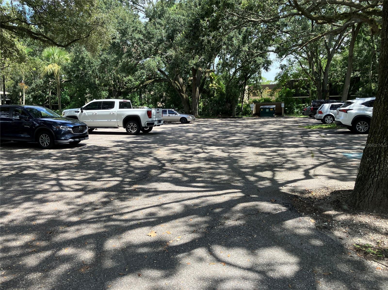 11703 RAINTREE VILLAGE BLVD #B — photo 52