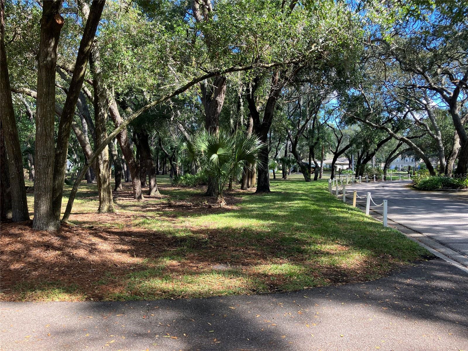 11703 RAINTREE VILLAGE BLVD #B — photo 57