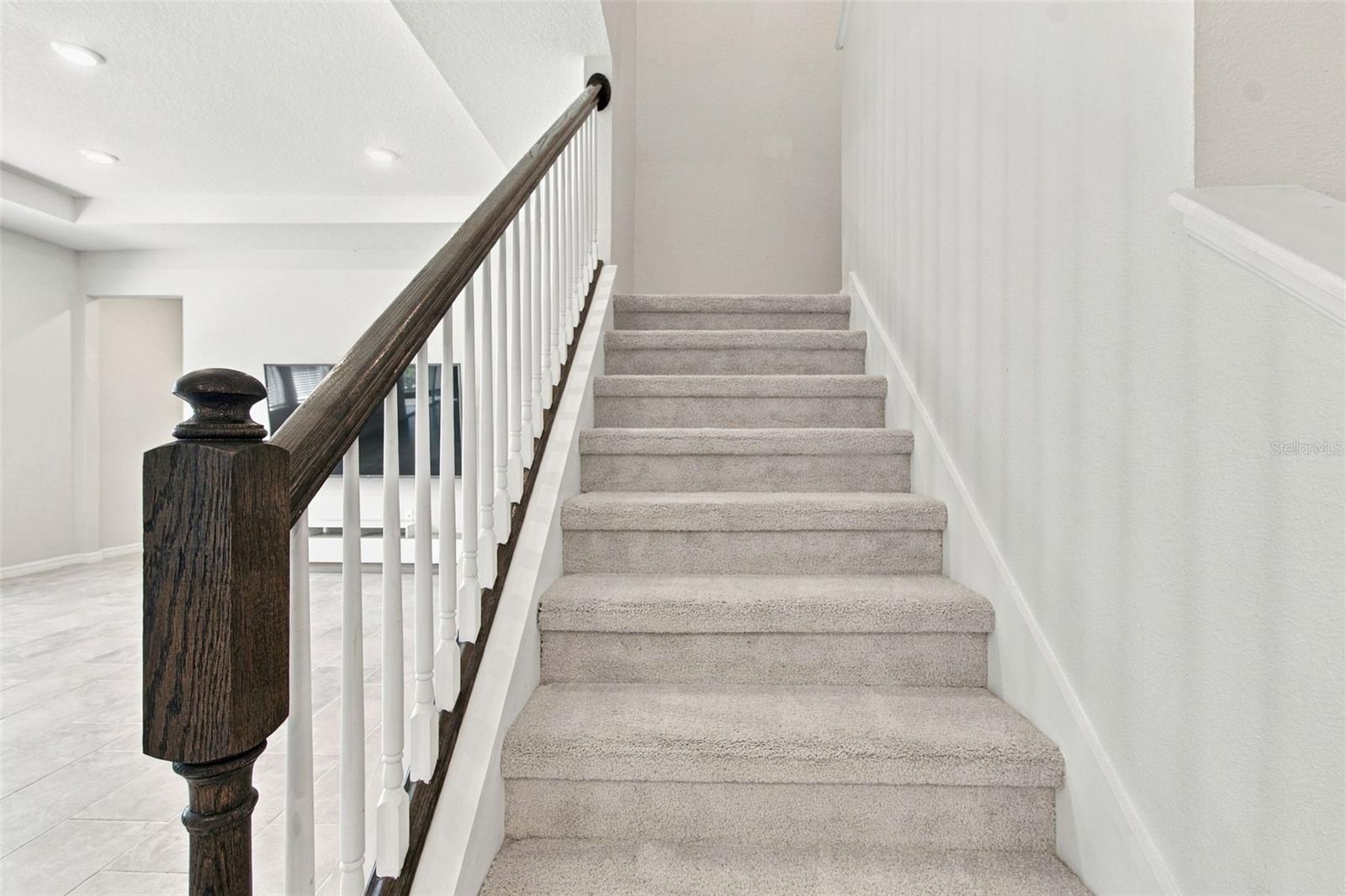 3221 LIVING CORAL DR — photo 17