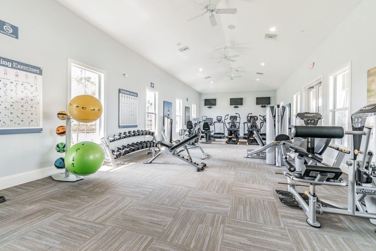 3221 LIVING CORAL DR — photo 47