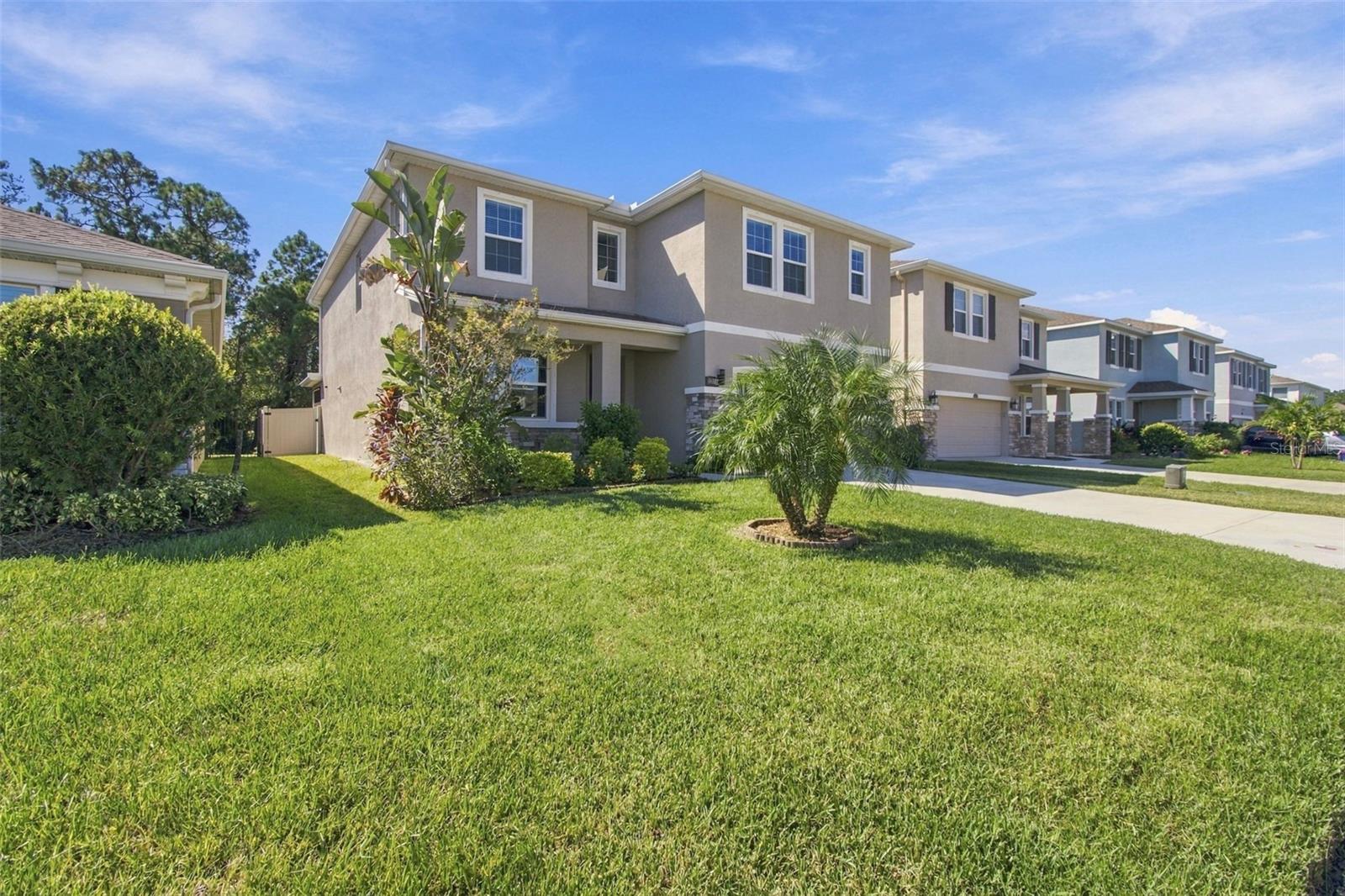 3221 LIVING CORAL DR — photo 39