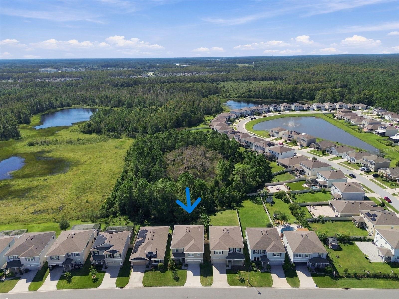 3221 LIVING CORAL DR — photo 37