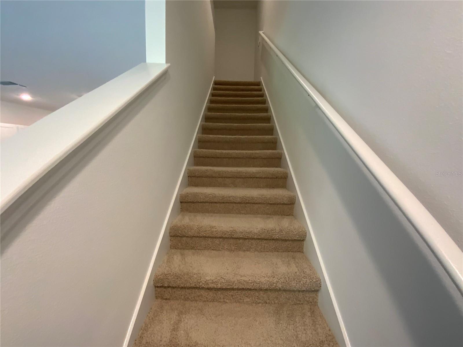 32513 MIDSUMMER NIGHT LN — photo 11