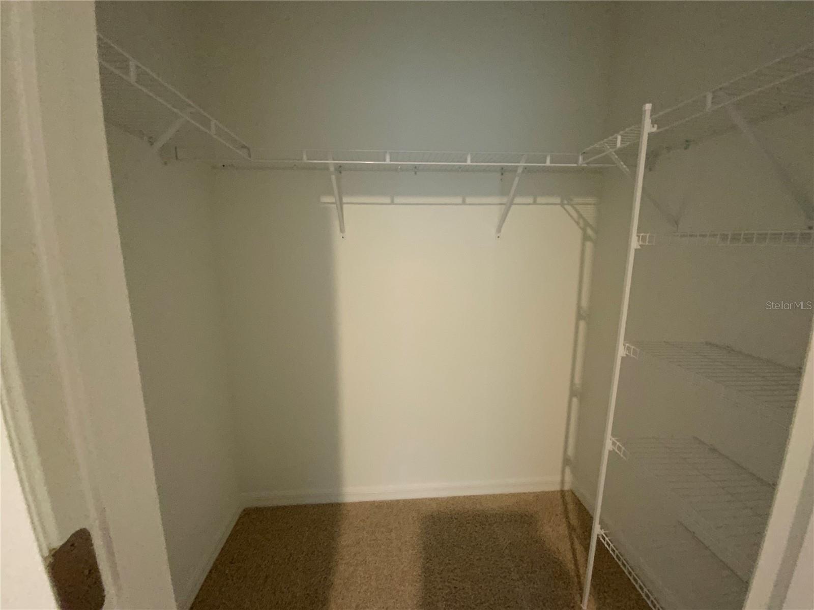32513 MIDSUMMER NIGHT LN — photo 16