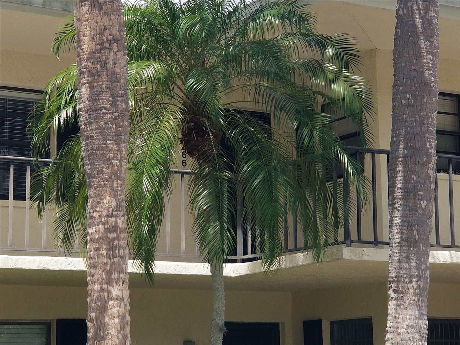 7050 FAIRWAY BEND LN #266 — photo 39