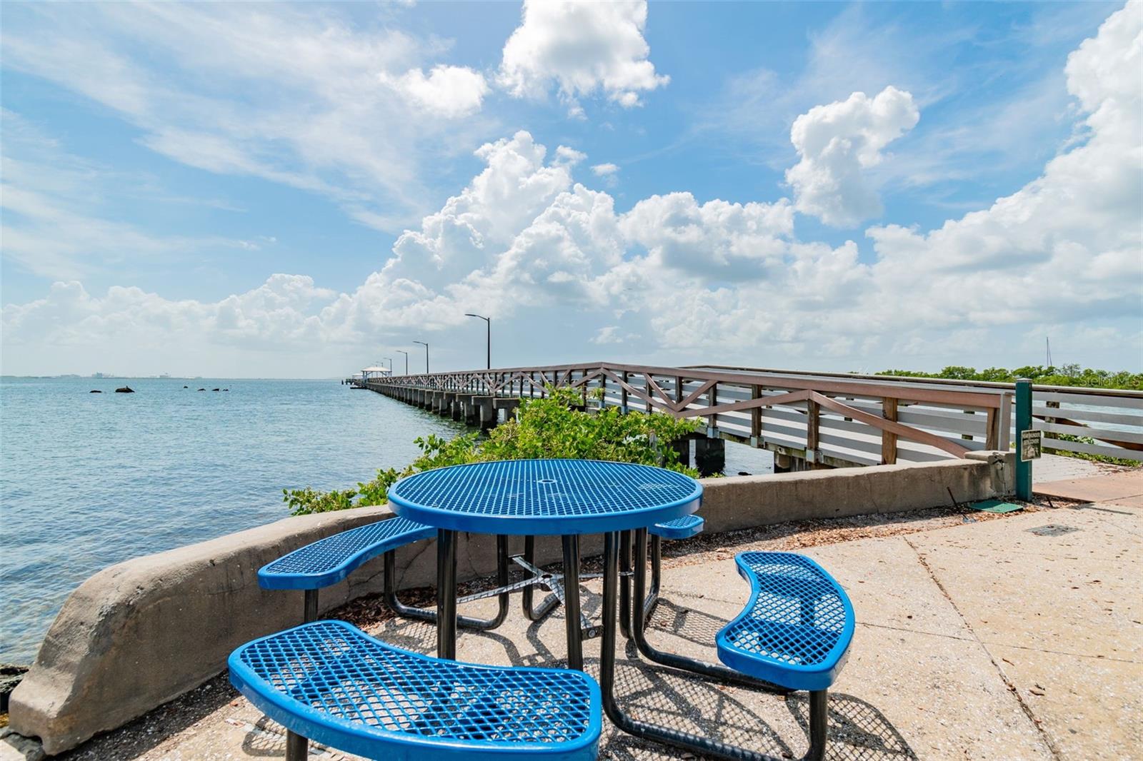 3016 W BALLAST POINT BLVD — photo 58