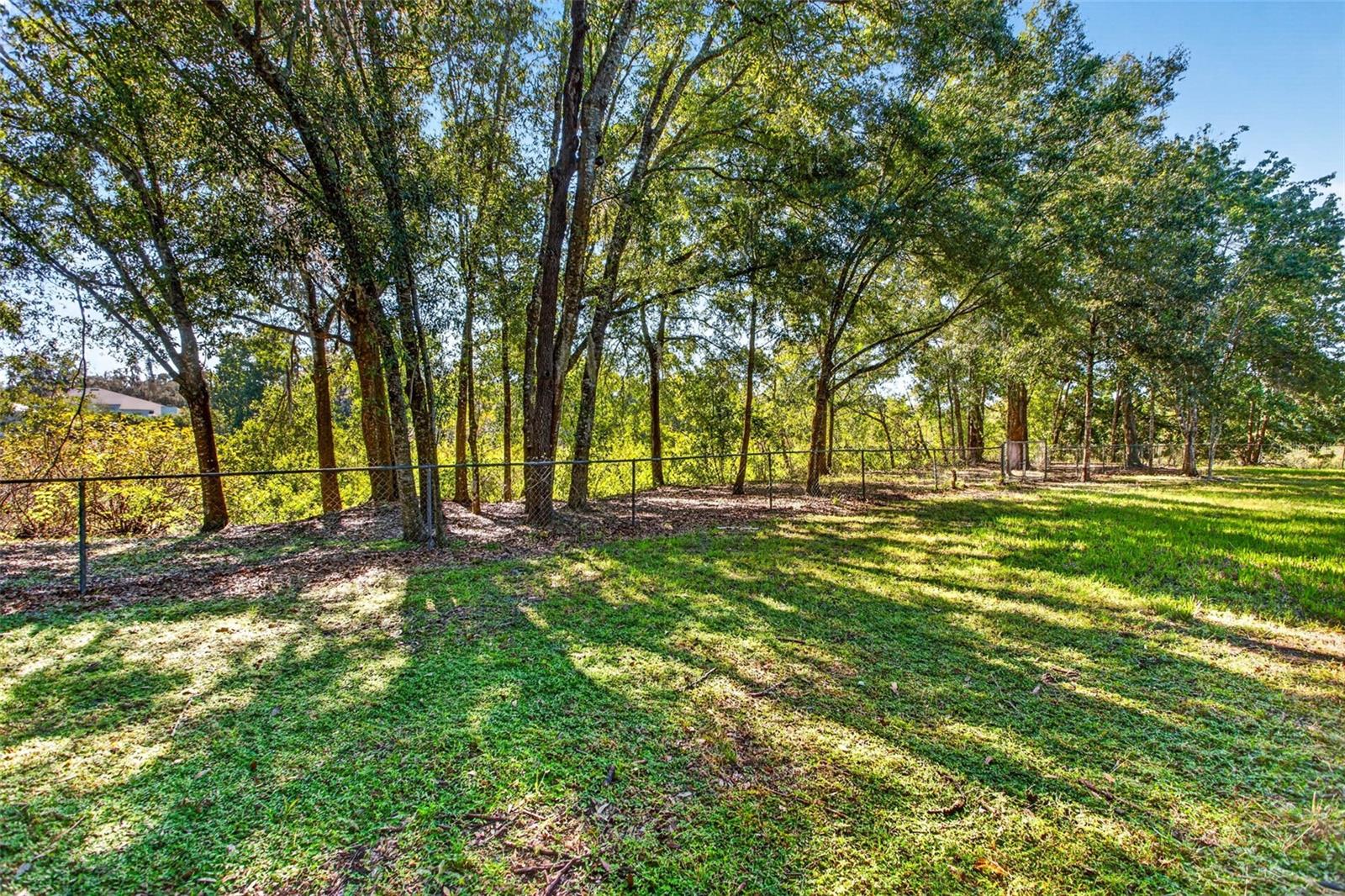 10326 OSCEOLA DR — photo 47