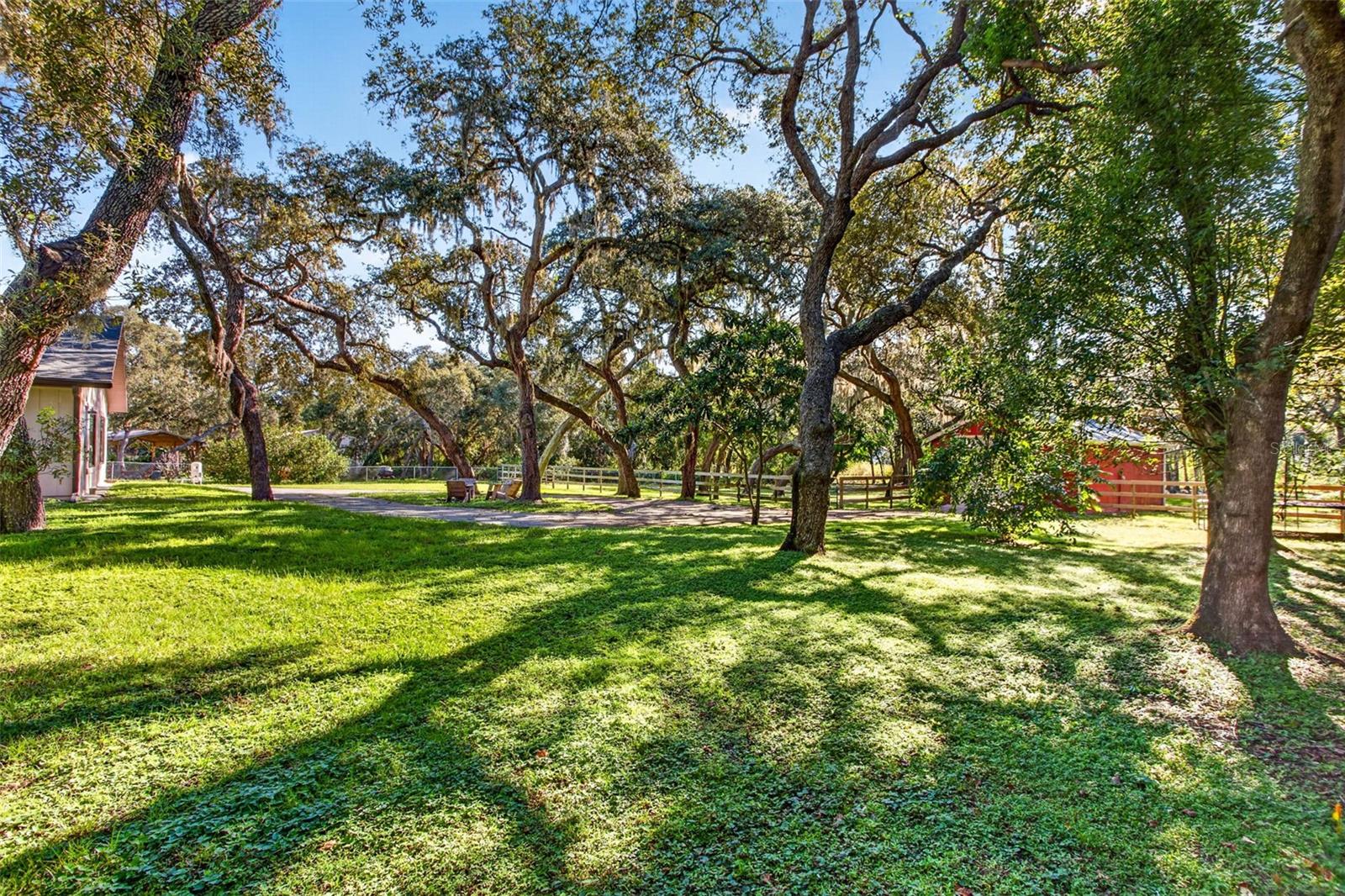10326 OSCEOLA DR — photo 41