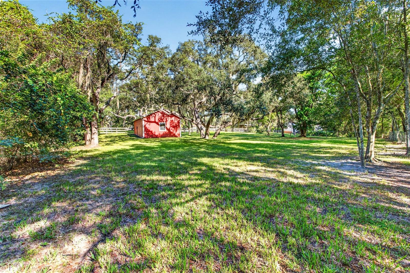 10326 OSCEOLA DR — photo 49