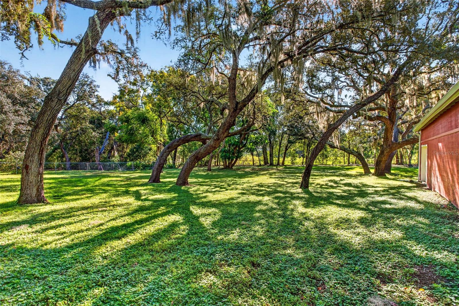 10326 OSCEOLA DR — photo 46