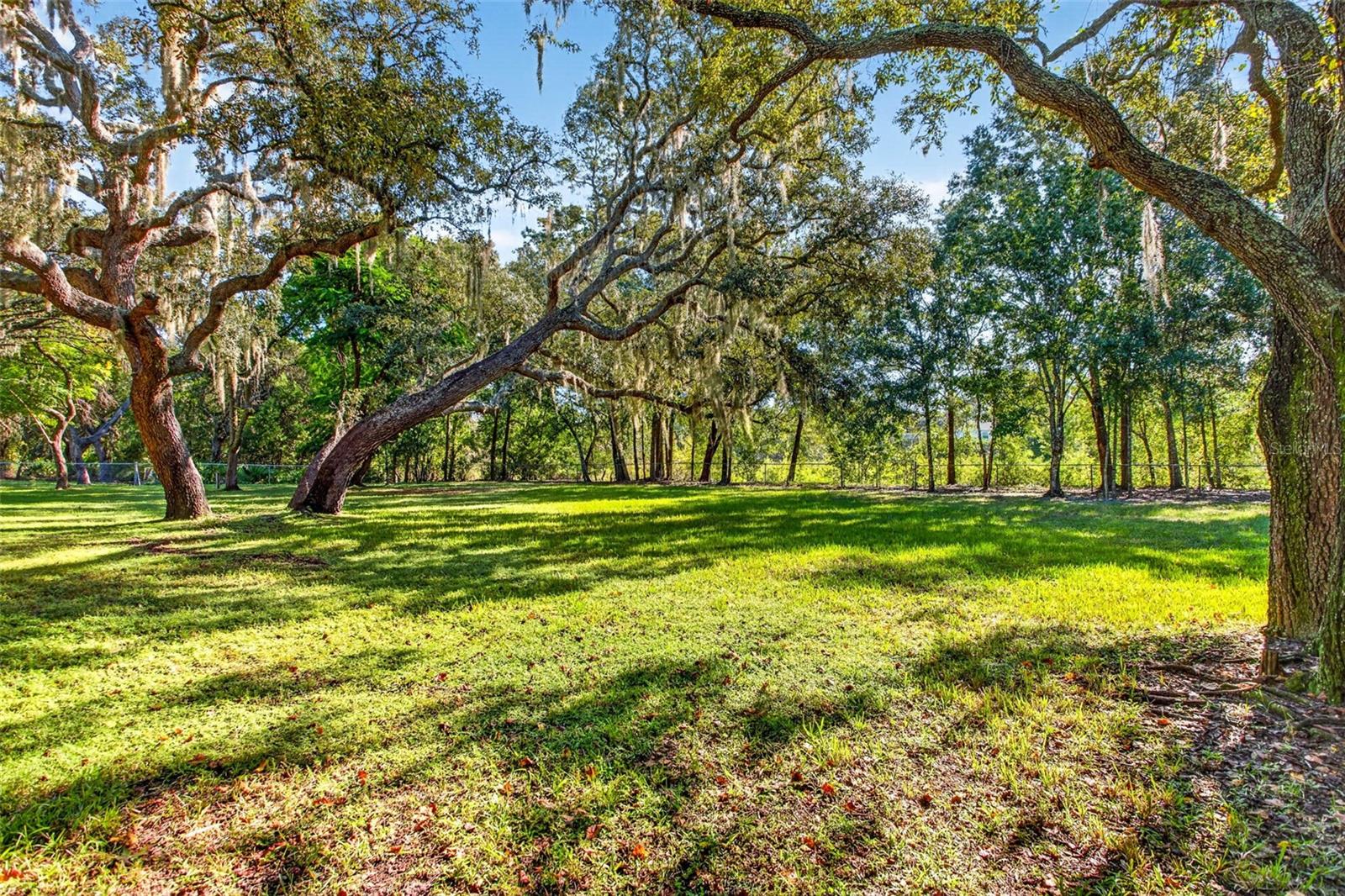 10326 OSCEOLA DR — photo 44