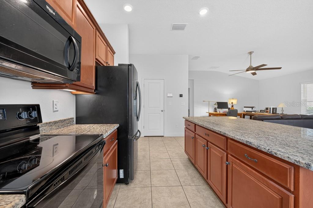9244 FREEDOM HILL DR — photo 7