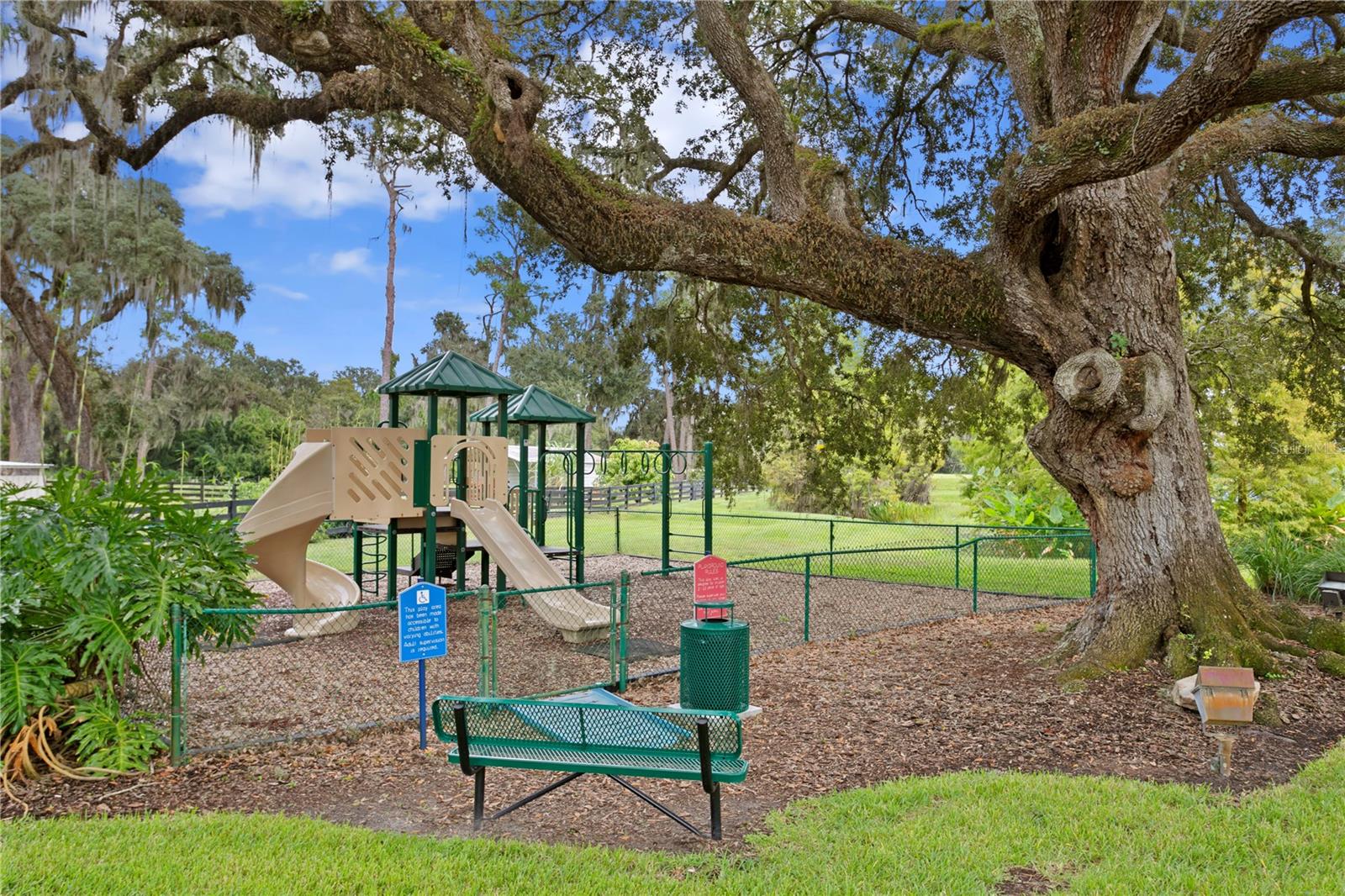 10648 BROADLAND PASS — photo 15