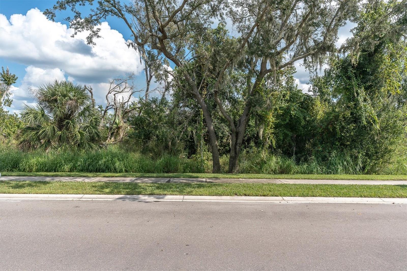 9921 PLUM RIVER DR — photo 55