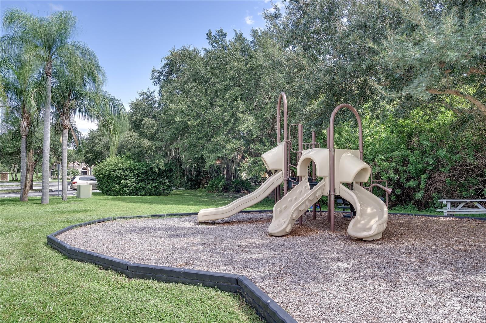 3211 WOODLAND FERN DR — photo 68