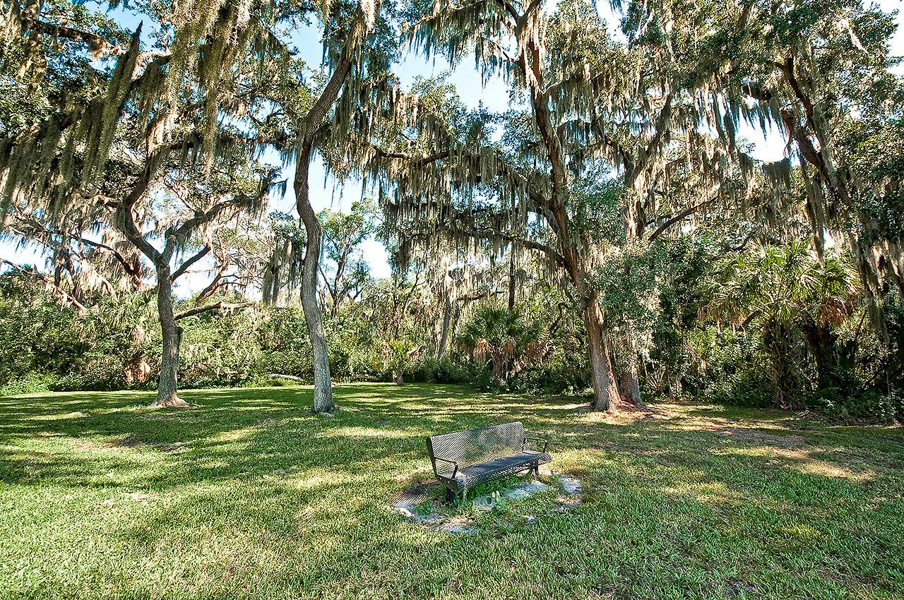 3211 WOODLAND FERN DR — photo 77