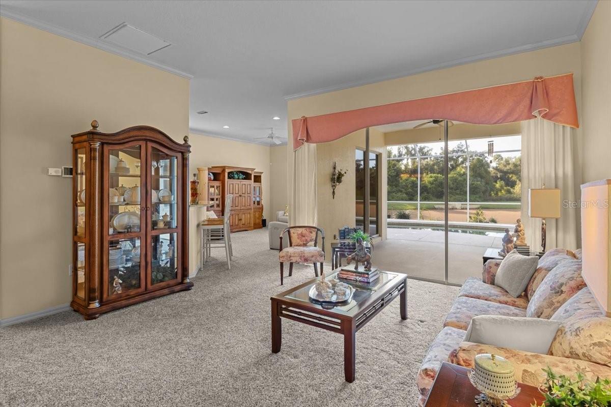 3211 WOODLAND FERN DR — photo 4