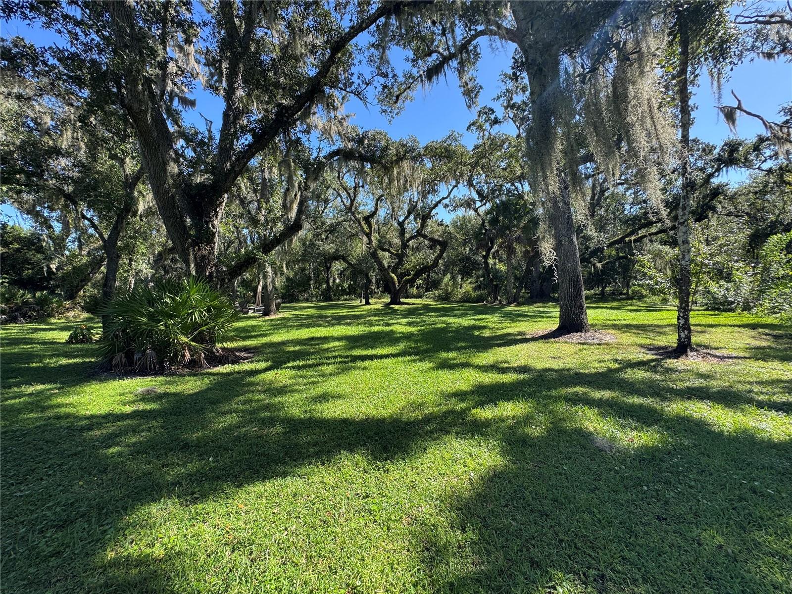 Home in SARASOTA — photo 13