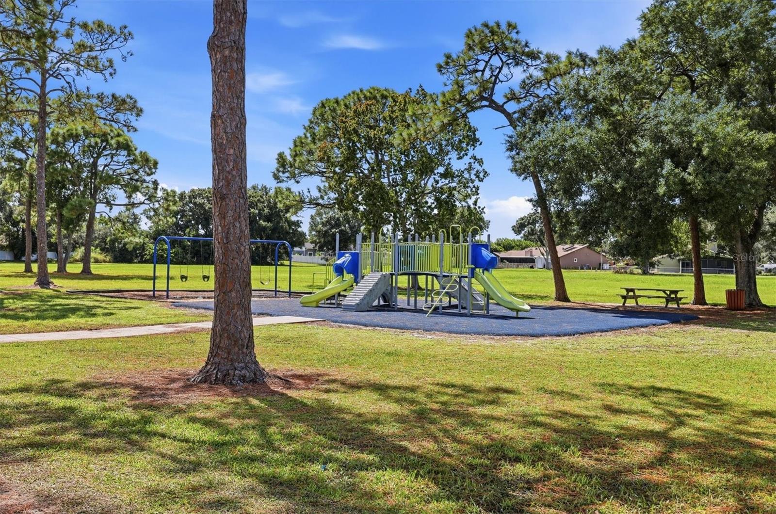 828 PONDEROSA PINE LN — photo 52