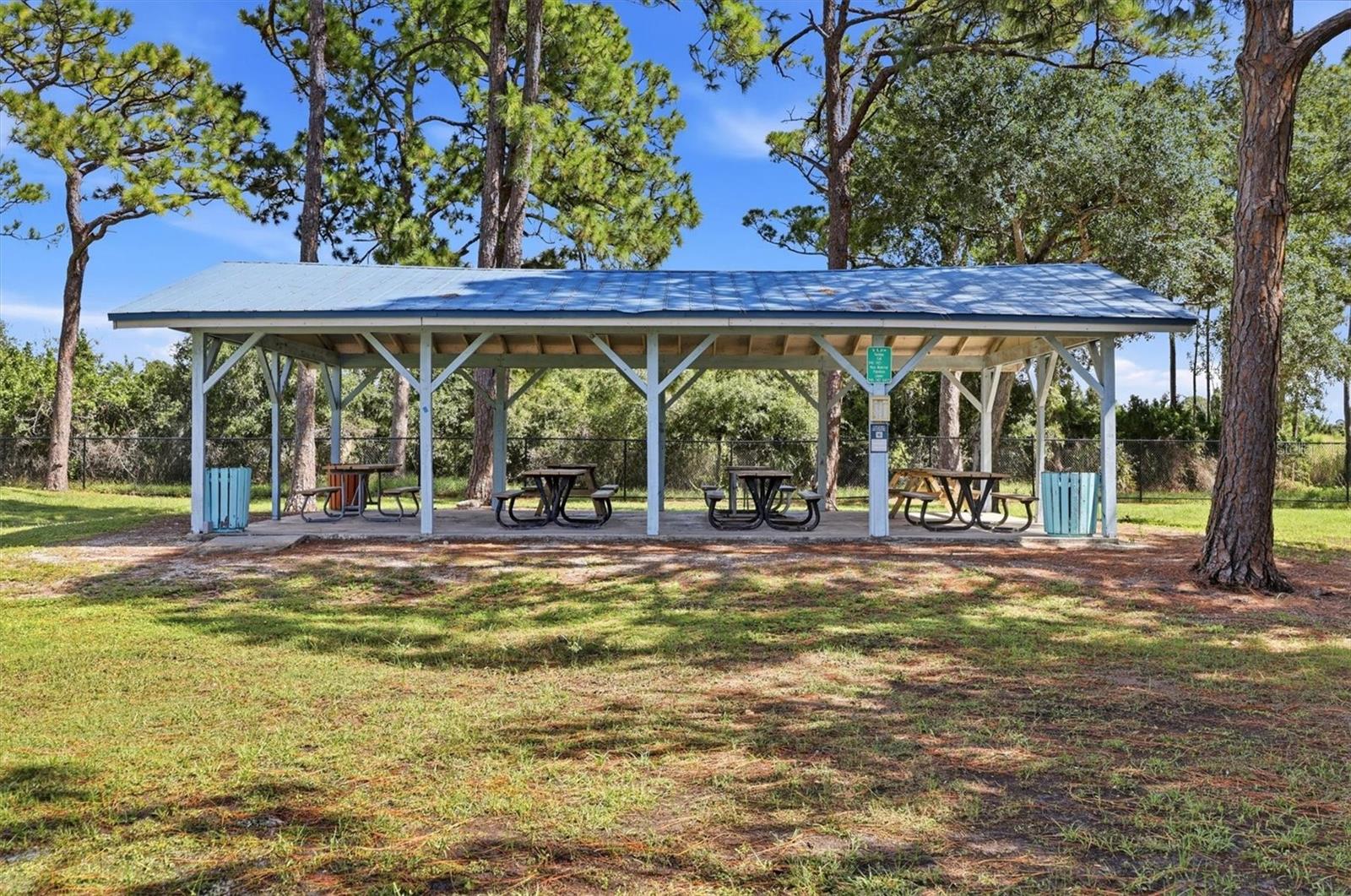 828 PONDEROSA PINE LN — photo 48