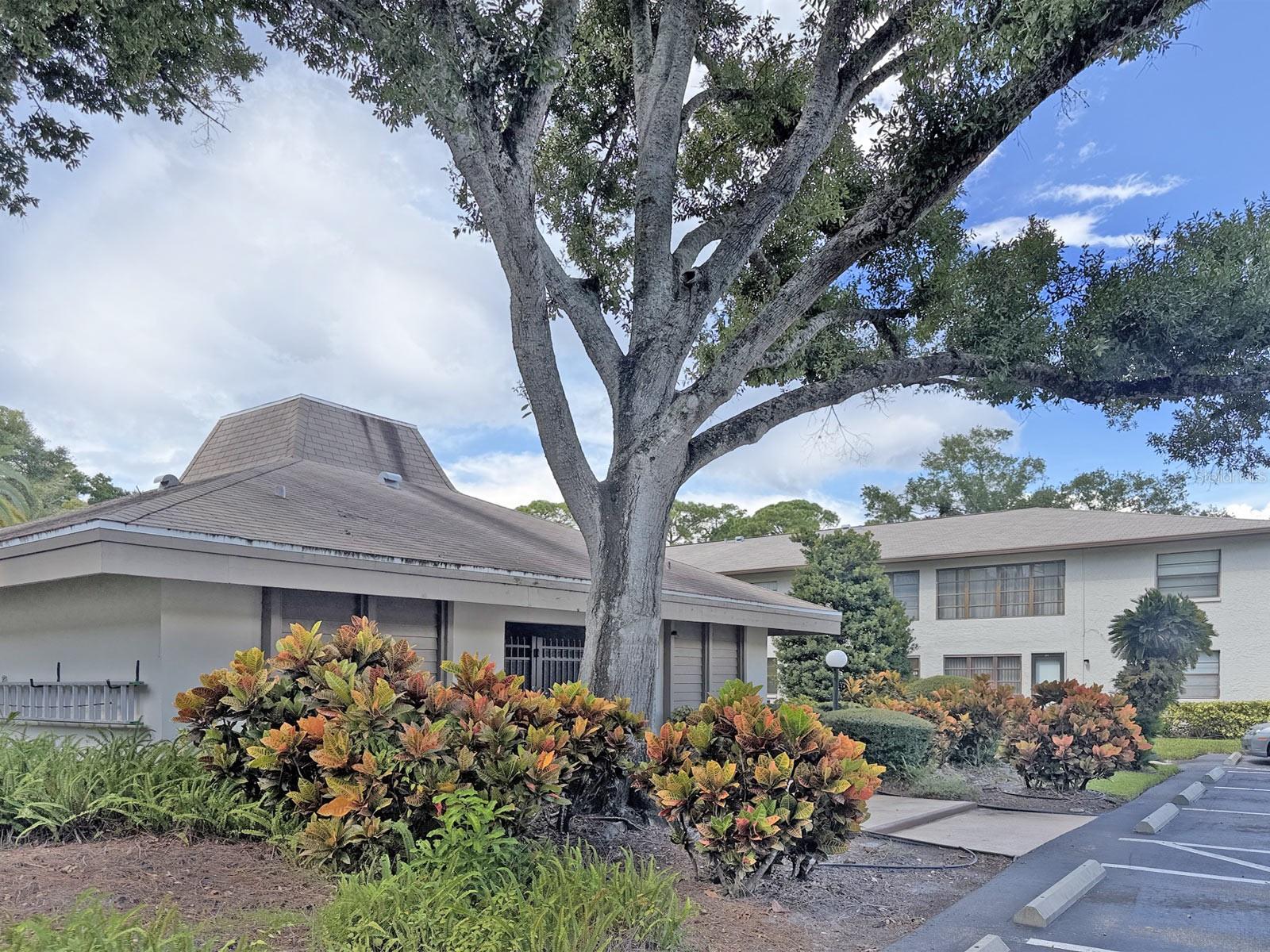 3034 EASTLAND BLVD #D202 — photo 22