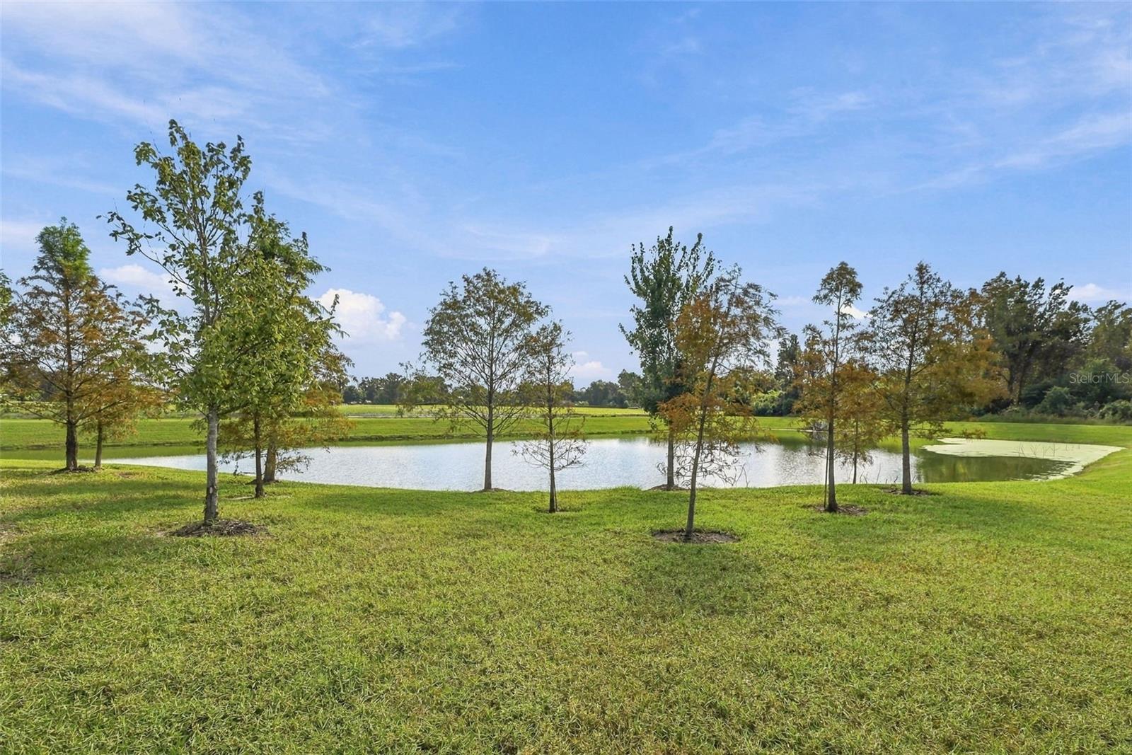 3708 RADIANT MOUNTAIN DR — photo 46