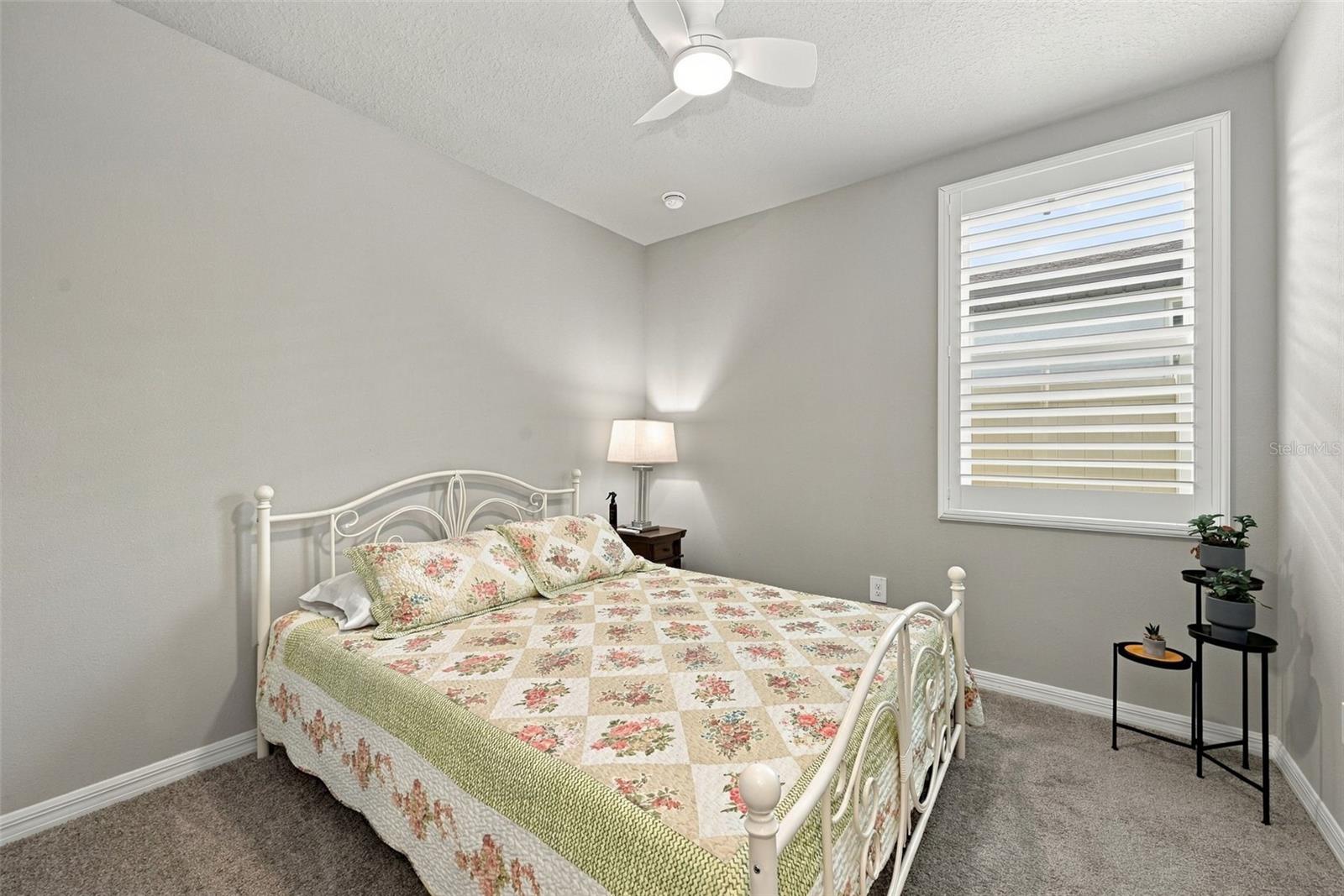 3708 RADIANT MOUNTAIN DR — photo 29