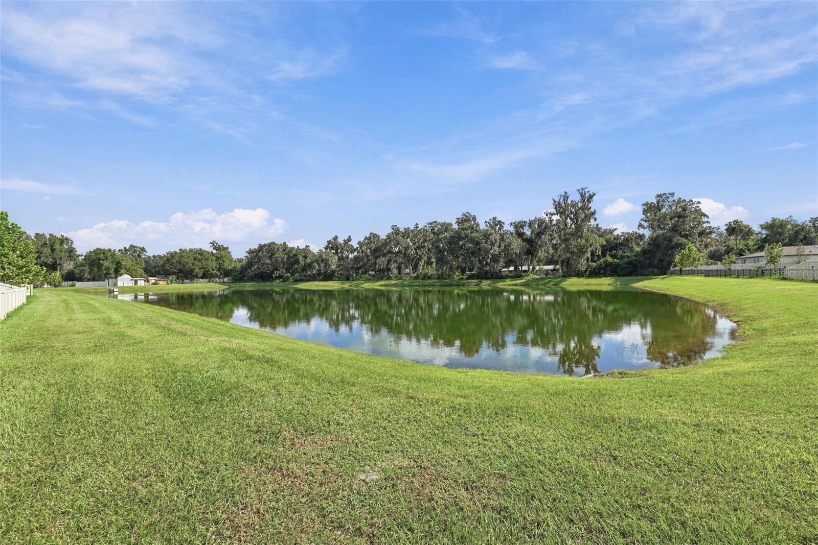 3708 RADIANT MOUNTAIN DR — photo 39