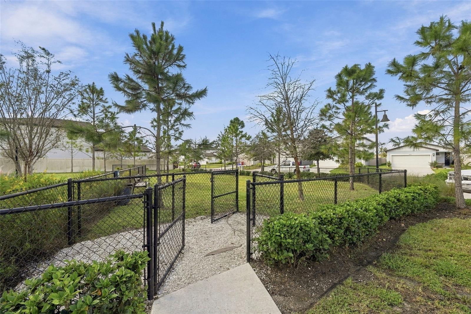 3708 RADIANT MOUNTAIN DR — photo 44