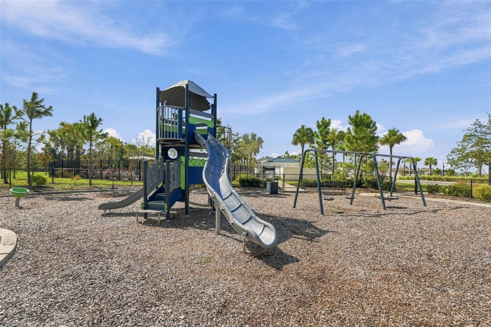 3708 RADIANT MOUNTAIN DR — photo 43