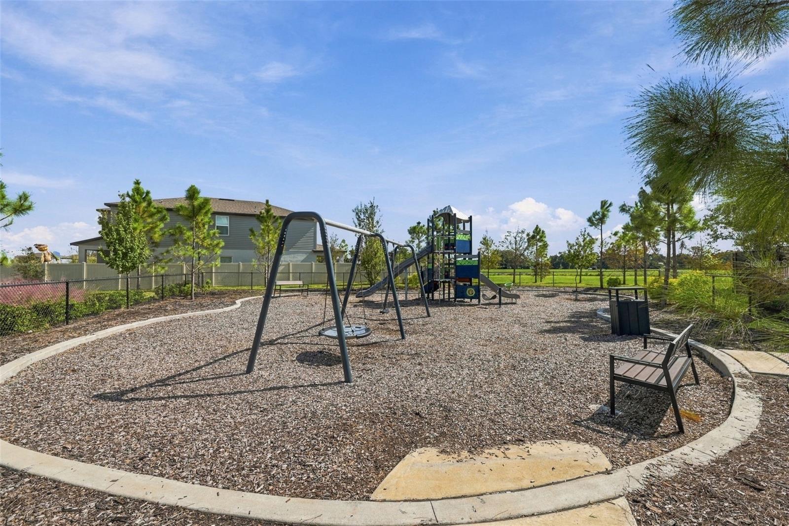 3708 RADIANT MOUNTAIN DR — photo 42
