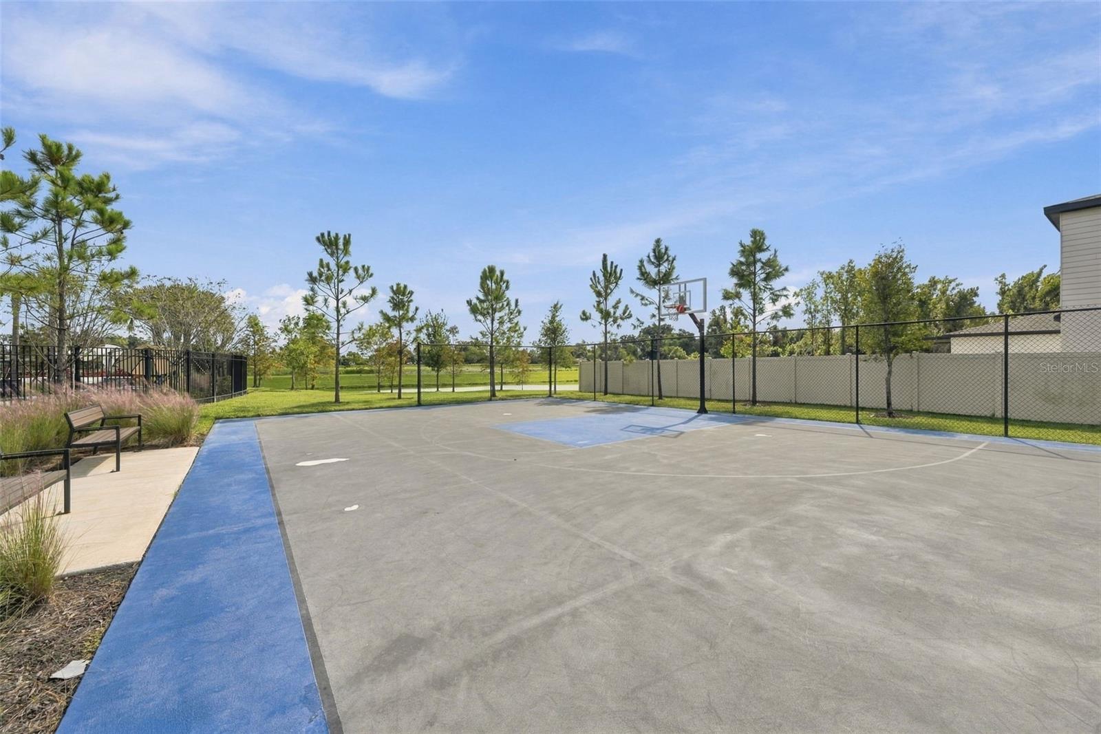3708 RADIANT MOUNTAIN DR — photo 45