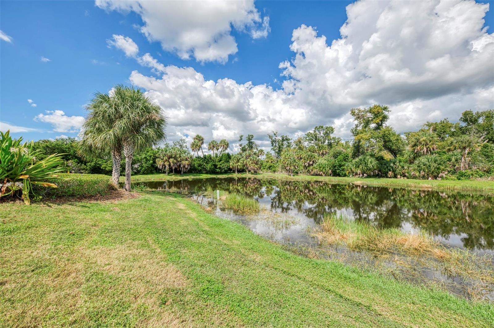 12404 PALATKA DR — photo 63