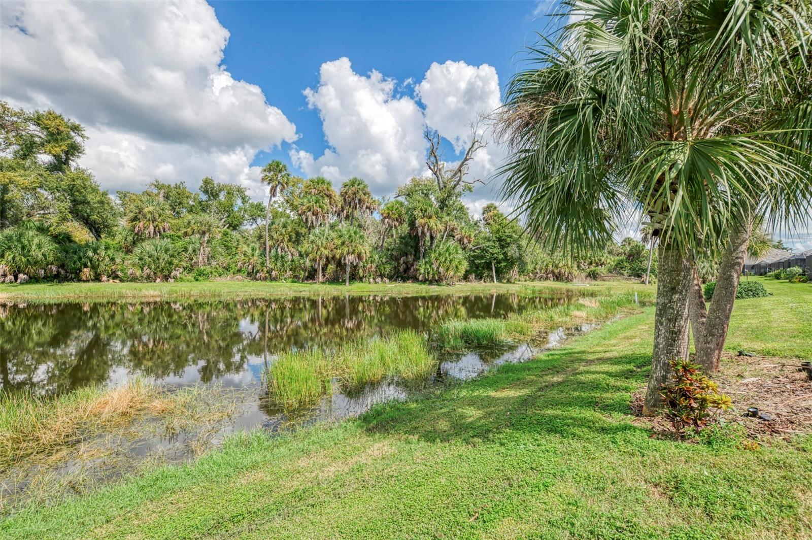 12404 PALATKA DR — photo 64