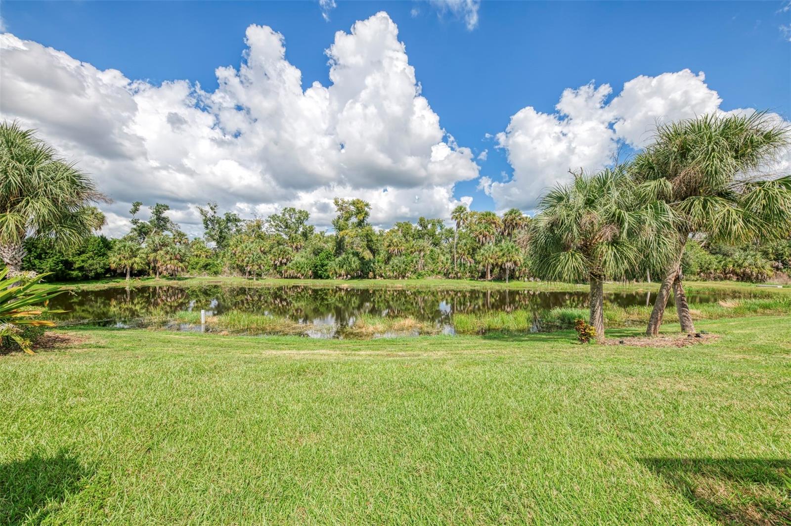 12404 PALATKA DR — photo 60