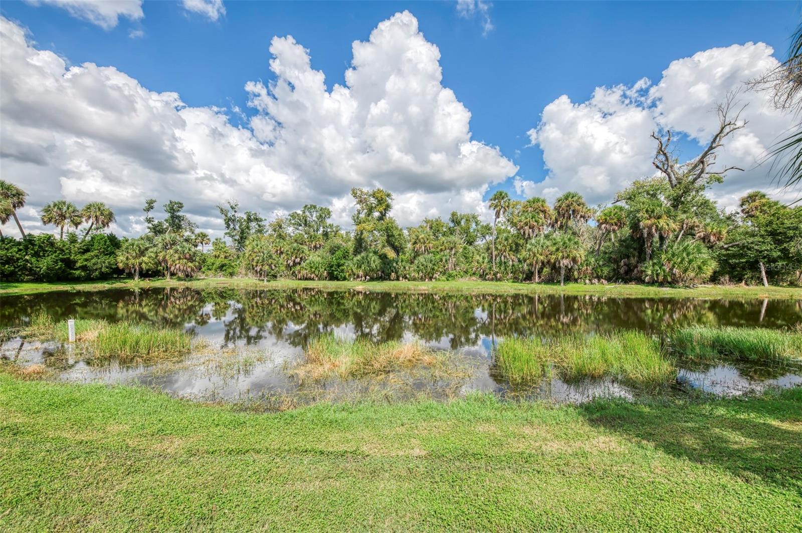 12404 PALATKA DR — photo 62