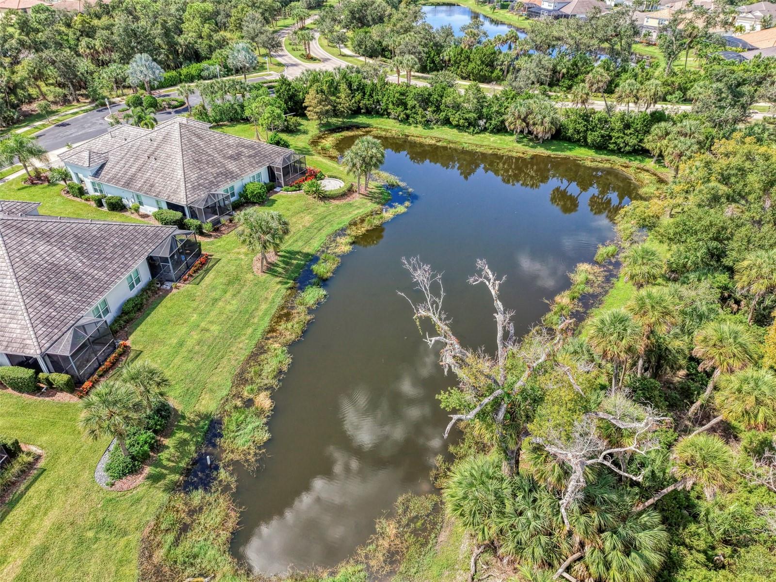 12404 PALATKA DR — photo 69