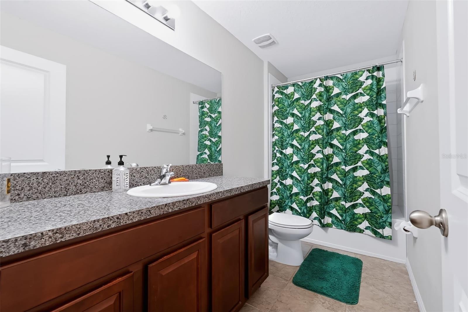 1711 BROAD WINGED HAWK DR — photo 33