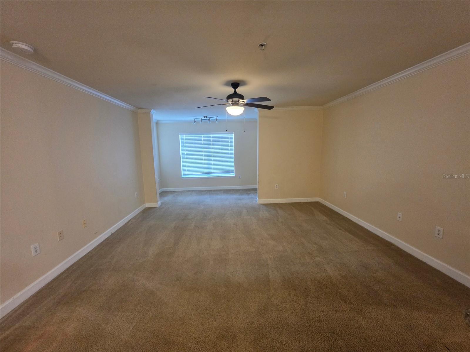 18563 BRIDLE CLUB DR — photo 10