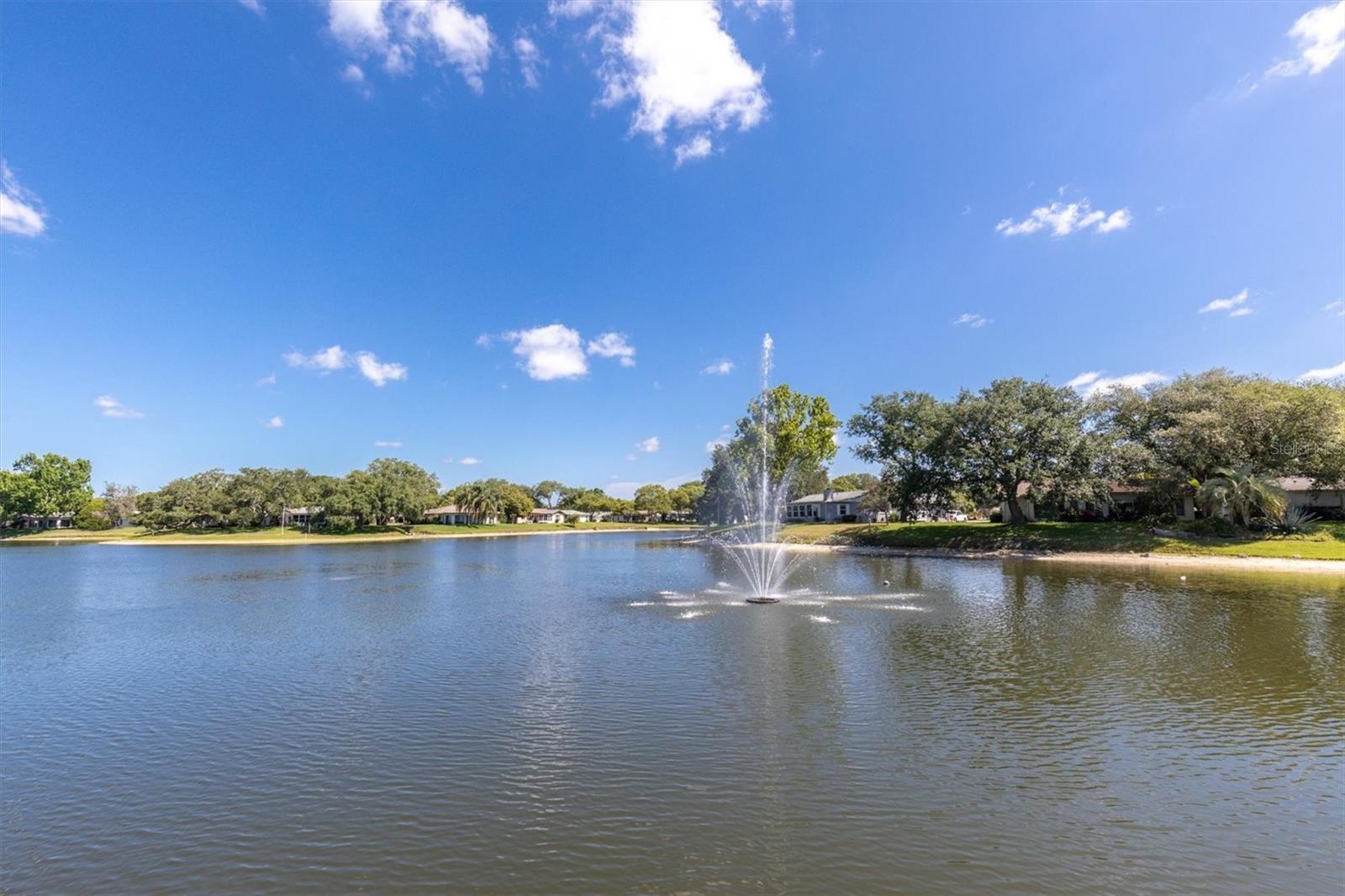 11311 DOLLAR LAKE DR #6 — photo 37