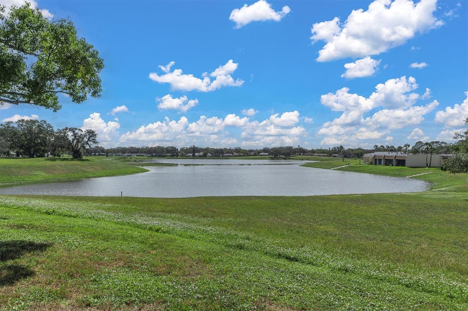 11311 DOLLAR LAKE DR #6 — photo 28