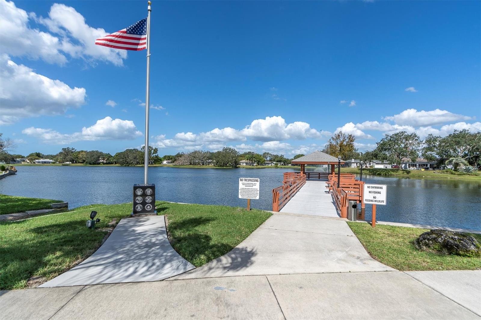 11311 DOLLAR LAKE DR #6 — photo 35