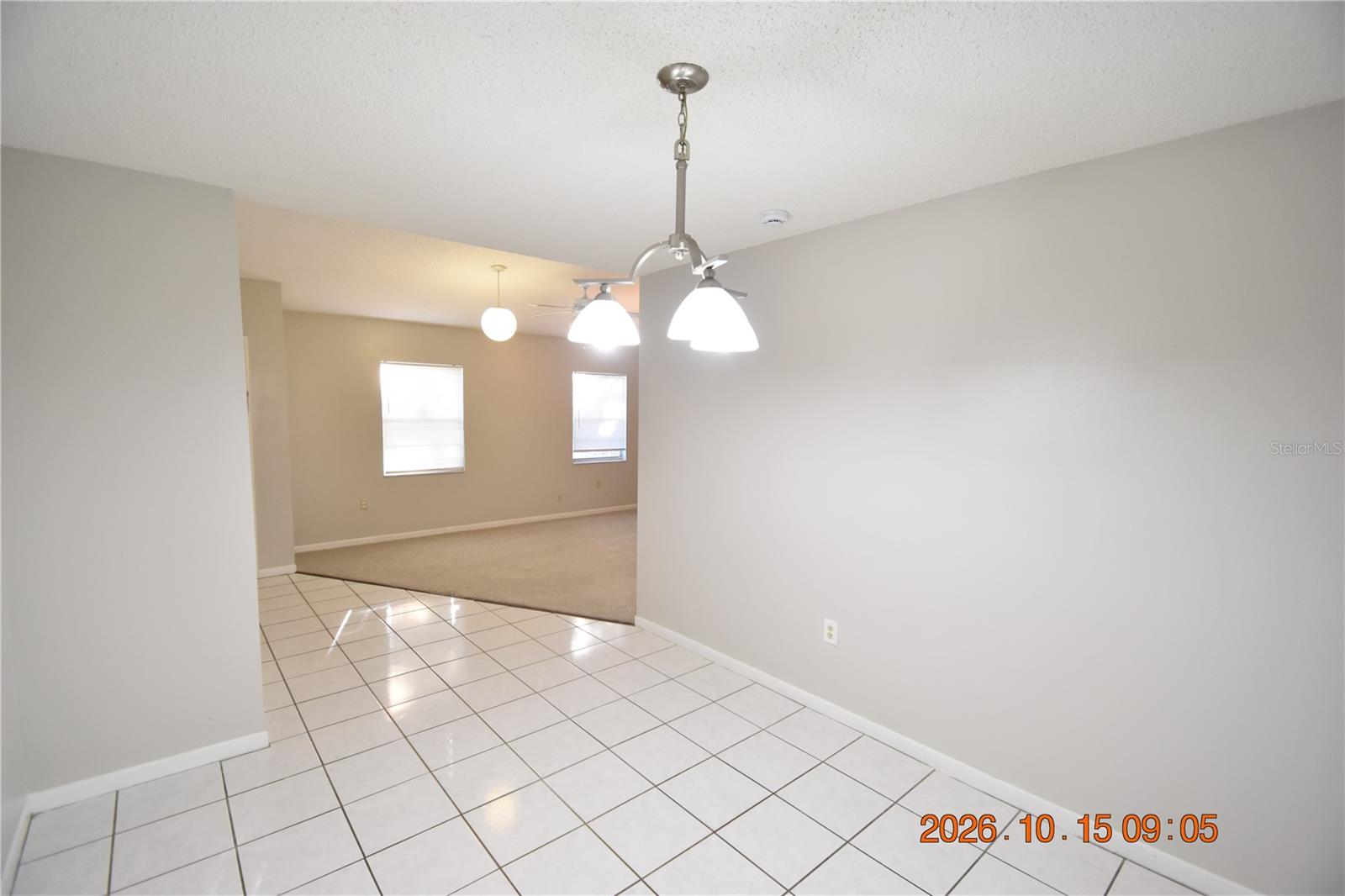 10016 N NINEVAH RD — photo 9
