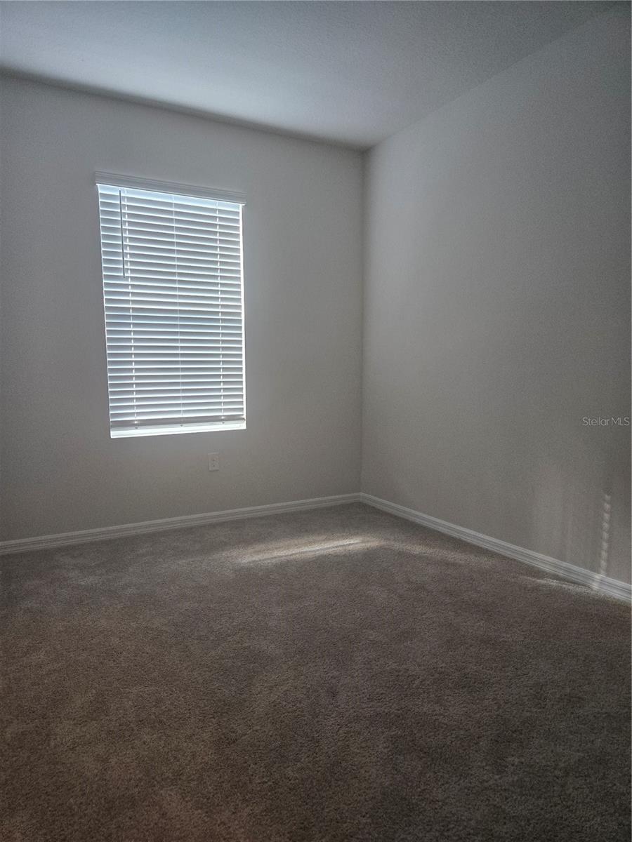 4312 RED BANKS LN — photo 8